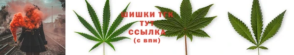 ешки Ельня