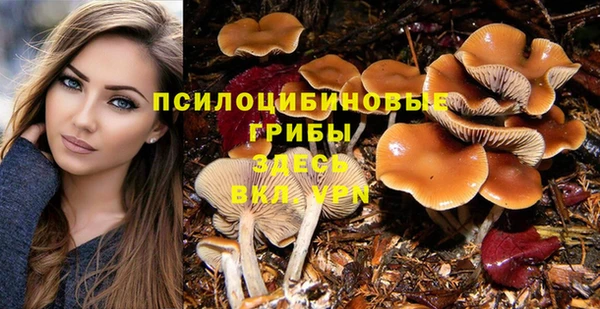 ALPHA PVP Елабуга