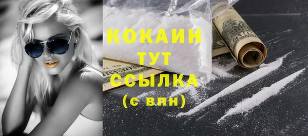 тгк Елизово