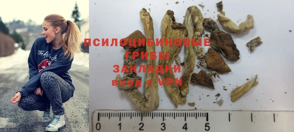 тгк Елизово