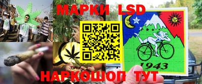 тгк Лесосибирск