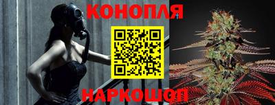 Альфа ПВП Ливны